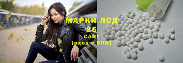 PSILOCYBIN Алексеевка