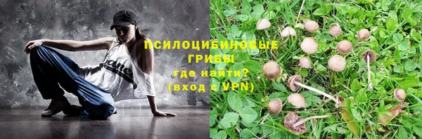 PSILOCYBIN Алексеевка