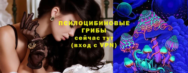 PSILOCYBIN Алексеевка